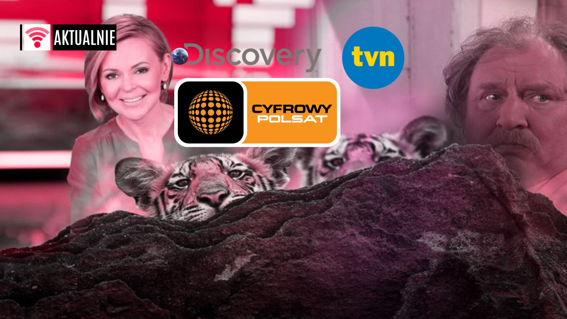 tvn discovery polska cyfrowy polsat netflix joyn