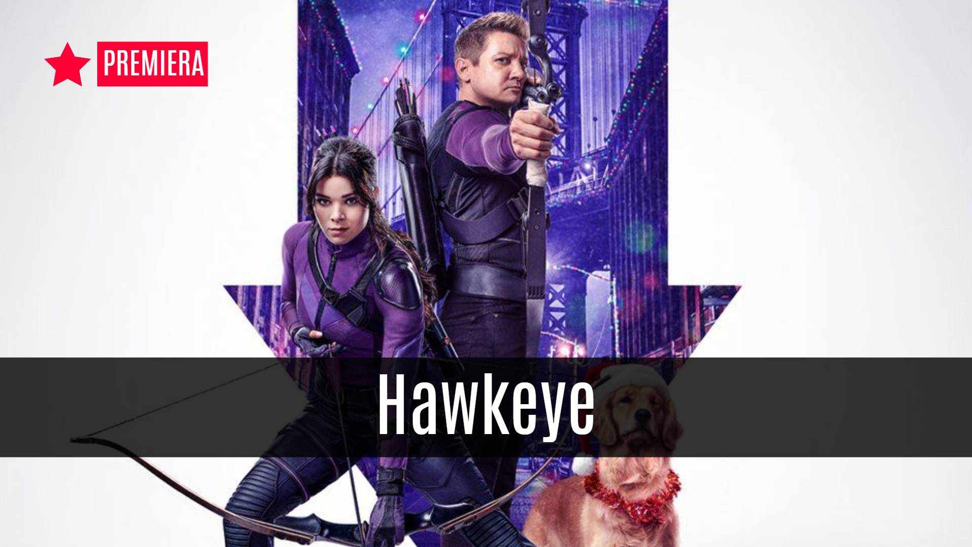 hawkeye disney plus serial marvel